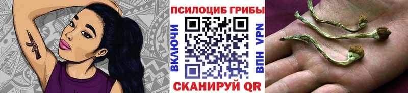 Галлюциногенные грибы прущие грибы  Нововоронеж 